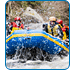 AlaskaCruises.com's Shore Excursions