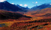 10 Nt Escorted Alaska-Yukon Explorer & Glacier Bay