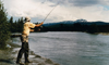 10 Nt Escorted Alaska Cruisetour