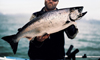 11 Nt Escorted Alaska Cruisetour